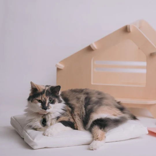 Wooden Foldable Pet House for Dog and Cat with Removable Cushion (Small)