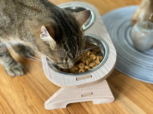 Wooden Elevated Pet Feeder Stand with 2 Stainless Steel Bowls