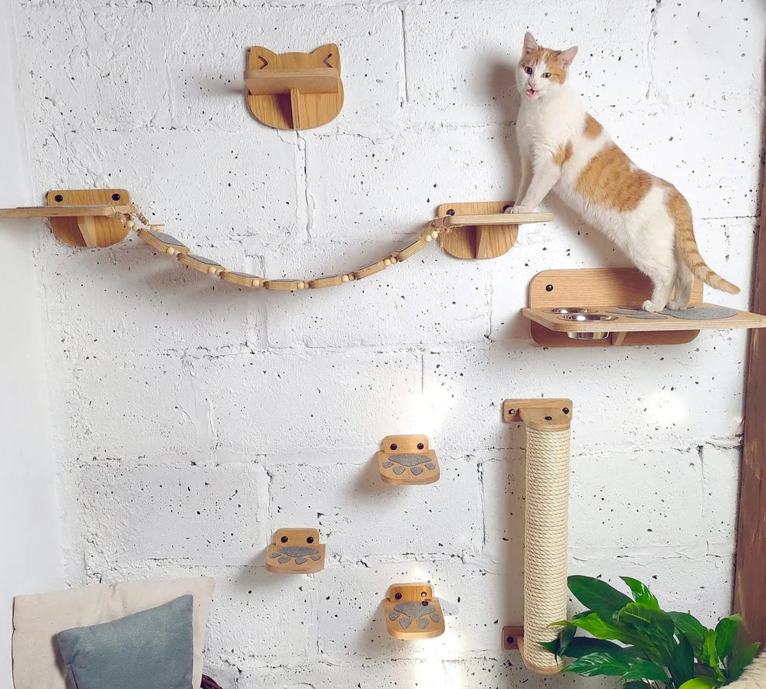 Luxury Wooden Cat Wall Furniture – Climbing, Scratching & Feeding Combo