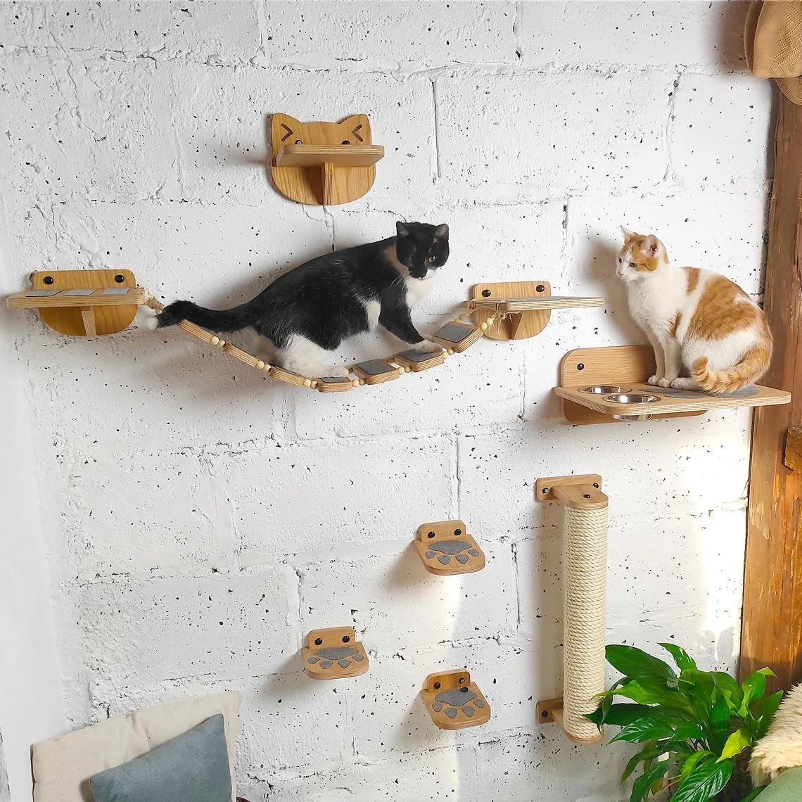 Luxury Wooden Cat Wall Furniture – Climbing, Scratching & Feeding Combo