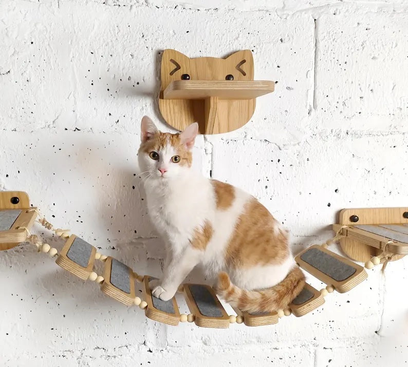 Luxury Wooden Cat Wall Furniture – Climbing, Scratching & Feeding Combo