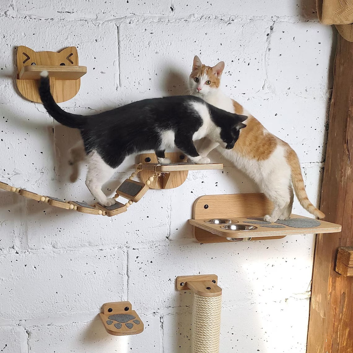 Luxury Wooden Cat Wall Furniture – Climbing, Scratching & Feeding Combo