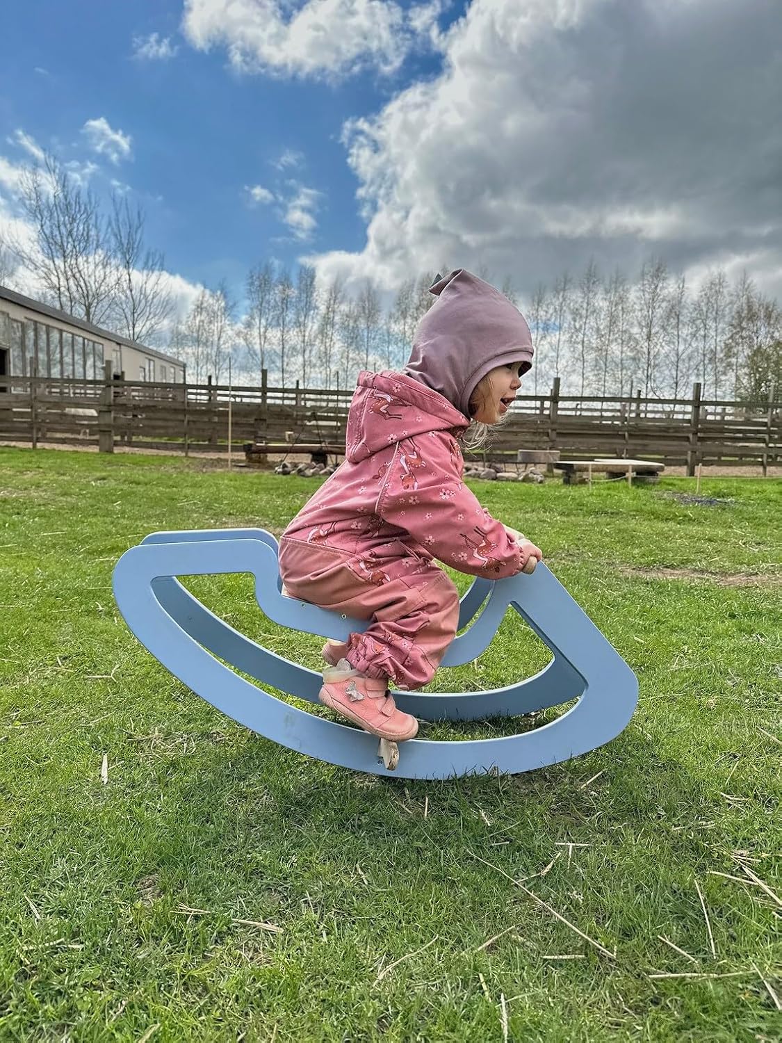 Wooden Rocking Horse for Kids - Birch Plywood, Pink/Blue, Sturdy Rocking Base