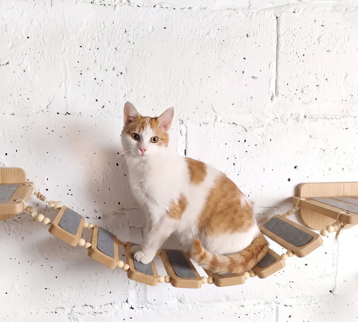Wooden Wall-Mounted Cat Bridge - Burmese Teak, Non-Slip Felt Pads