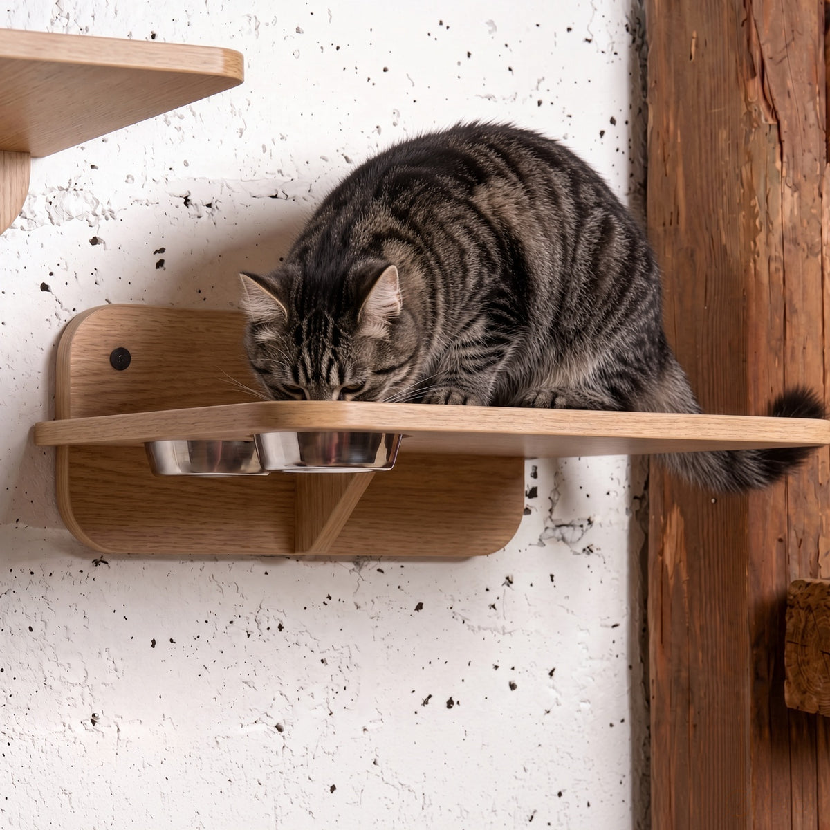 Wooden Cat Feeder Stand with 2 Steel Bowls - Wall-Mounted