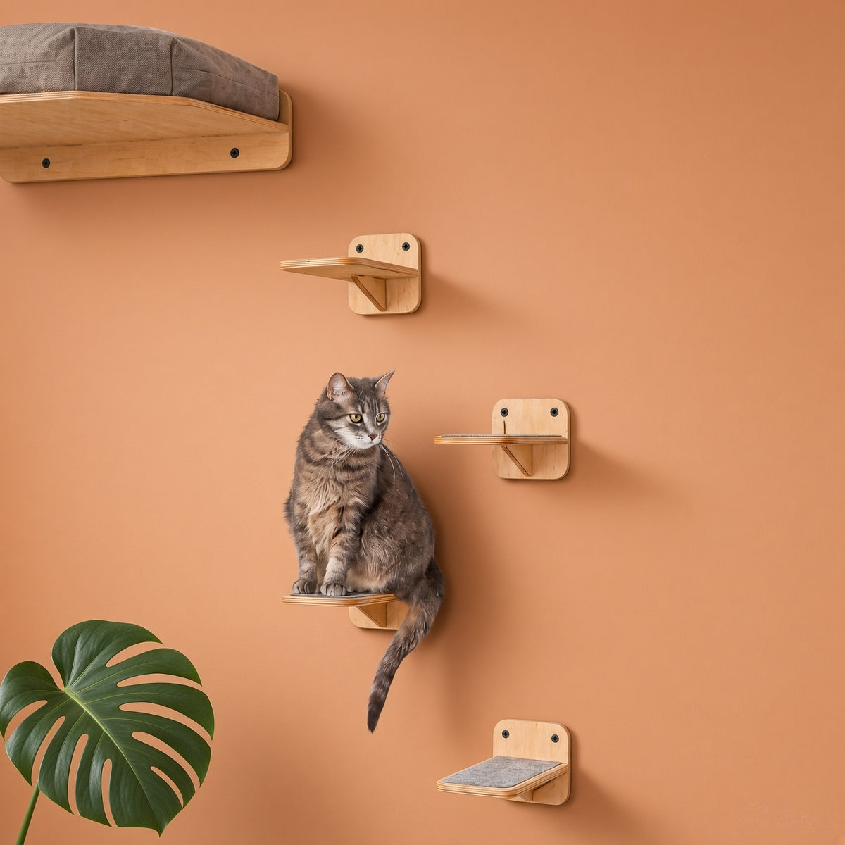 Wooden Corner Cat Bed with 4 Steps & Scratching Post - Wall-Mounted Set