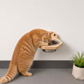 Wall-Mounted Wooden Pet Bowl - Single Removable Stainless Steel Bowl