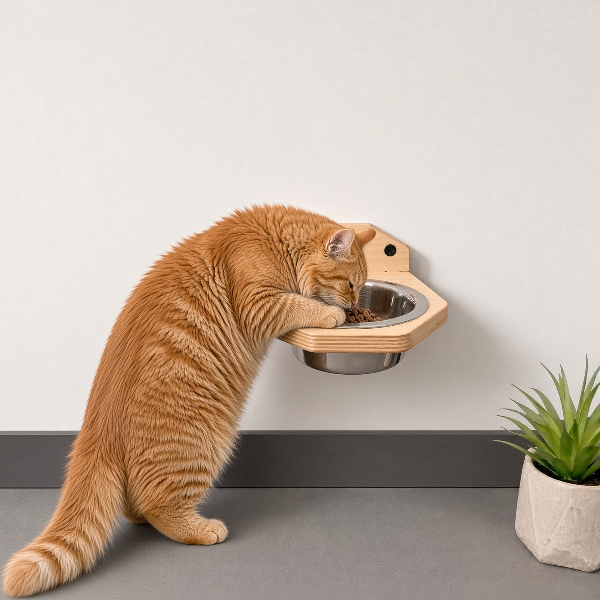 Wall-Mounted Wooden Pet Bowl - Single Removable Stainless Steel Bowl