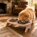 Wooden Cat Bowl Stand - Floor-Standing, 2 Removable Steel Bowls
